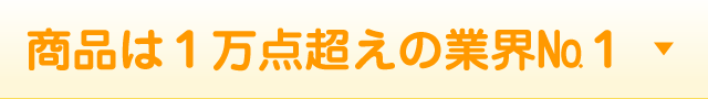 商品は１万点越えの業界№1